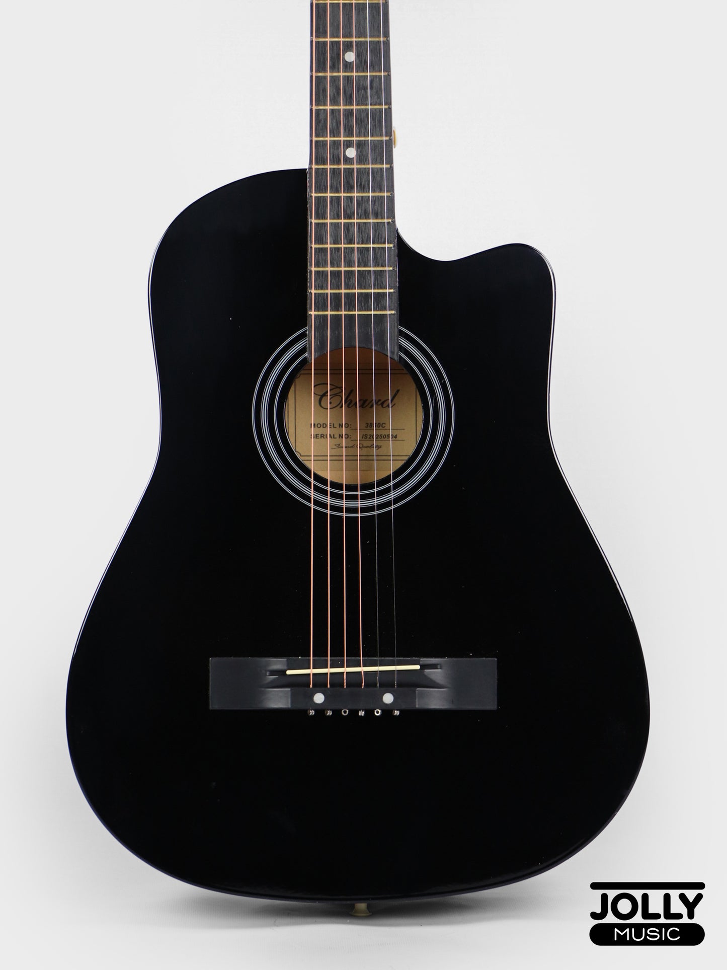 Chard 3850C Acoustic Guitar w/ Truss Rod & Bag - Black