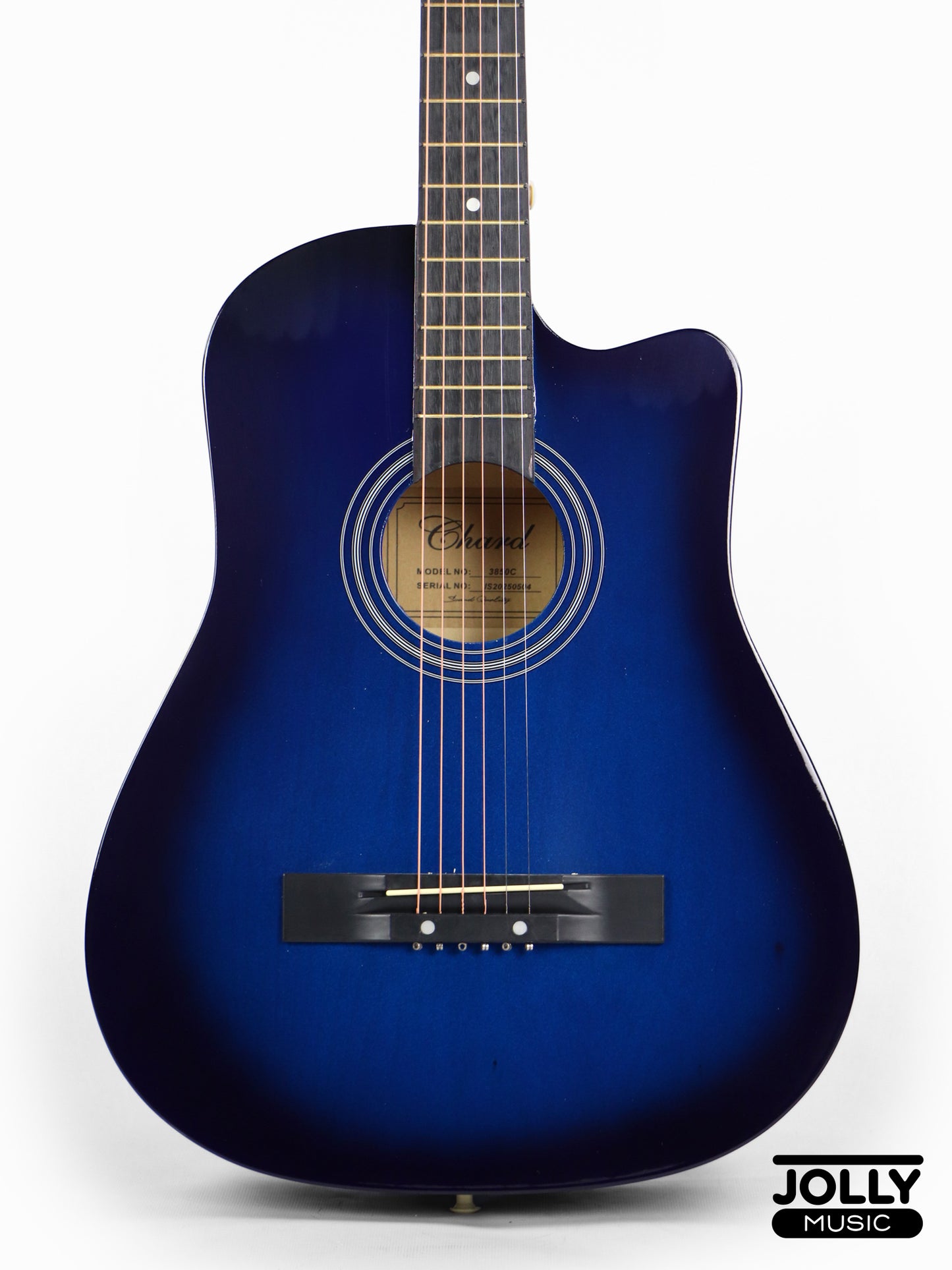 Chard 3850C Acoustic Guitar w/ Truss Rod & Bag - Blue Burst