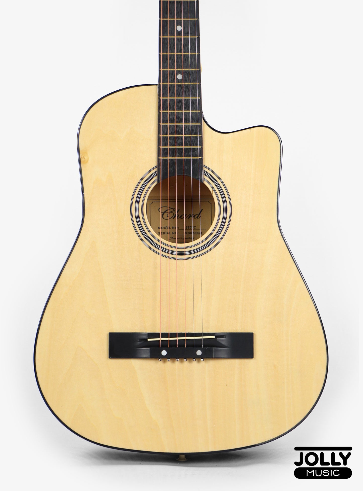 Chard 3850C Acoustic Guitar w/ Truss Rod & Bag - Natural