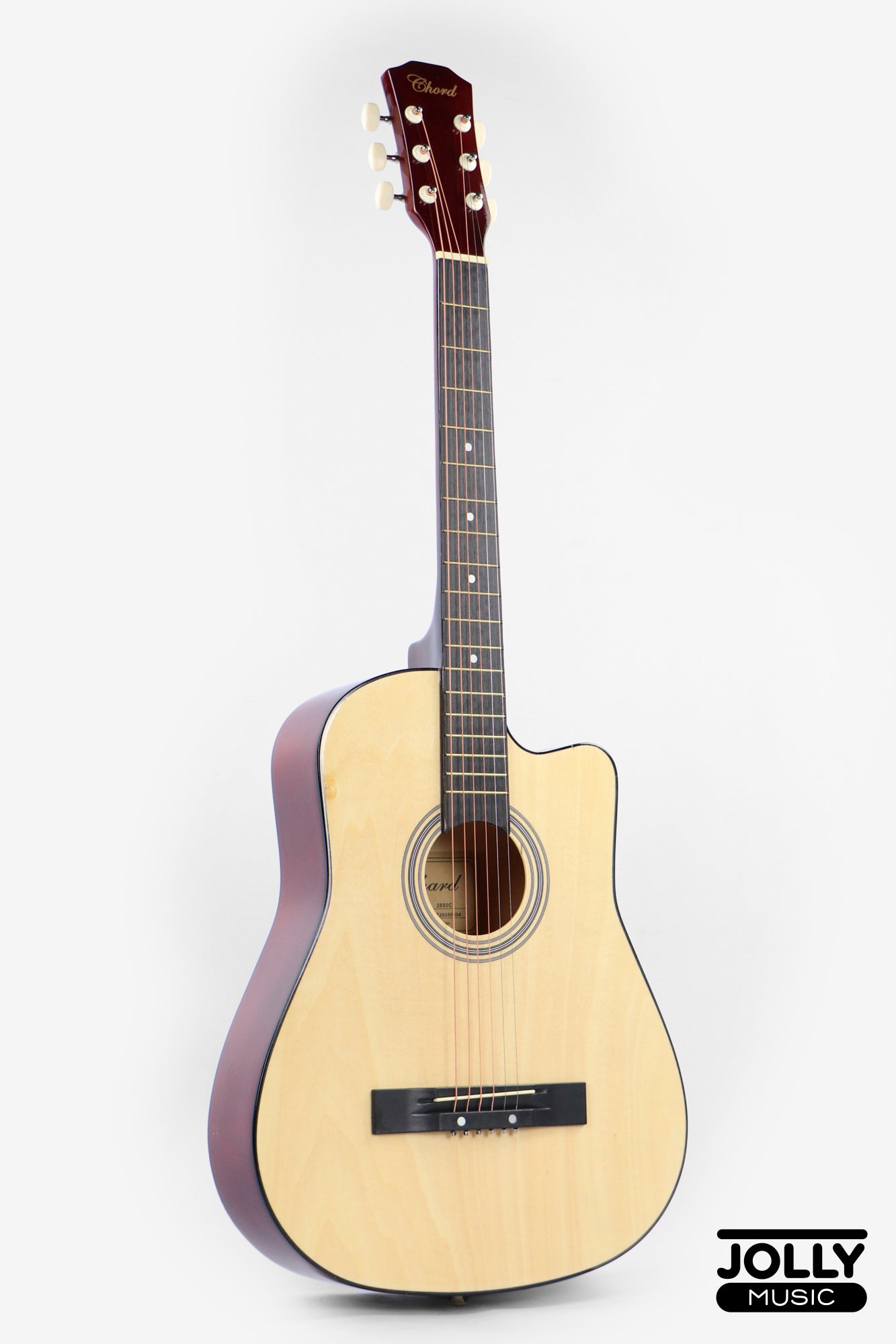 Chard 3850C Acoustic Guitar w/ Truss Rod & Bag - Natural