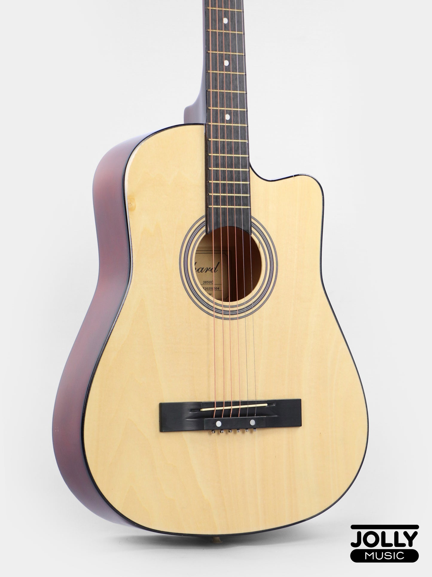 Chard 3850C Acoustic Guitar w/ Truss Rod & Bag - Natural